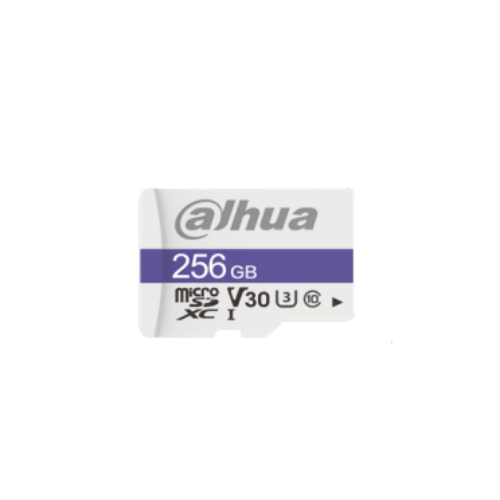 DAHUA Memoria de 256GB