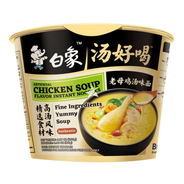 ARTIFICIAL CHIKEN SOUP BRAISUN