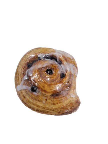 PAN DULCE CON PASITAS 