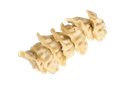DUMPLINGS DE POLLO 