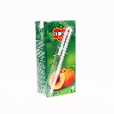 JUGO DEL MONTE CARRIZO 