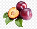 CIRUELA